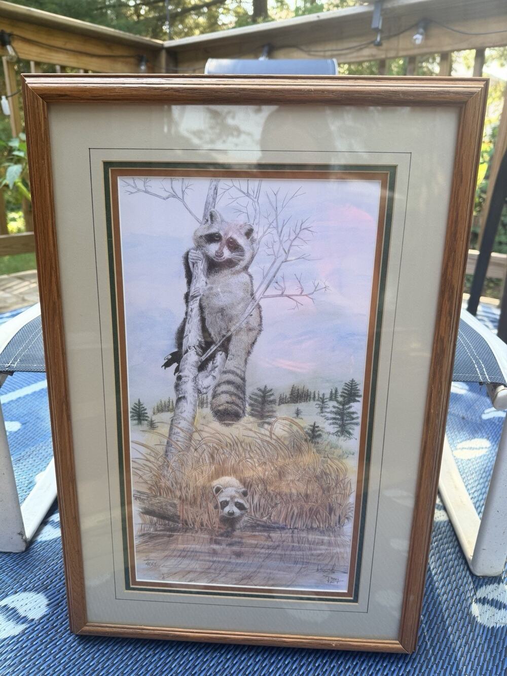 Don Tait Signed Ltd Ed 5/400 Raccoon Wildlife Print Framed Pencil RARE